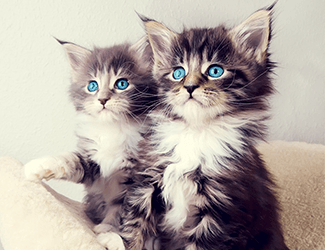 进入职场规划如何做 职场规划如何写