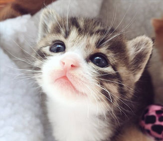 职业规划招聘信息，职业规划招聘信息怎么写