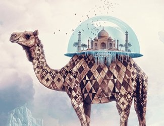 招聘画师文案（诚聘创意画师，加入我们共创视觉盛宴）