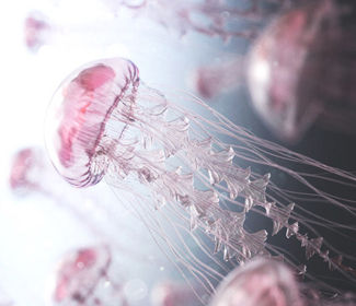 求职经验分享，求职经验交流